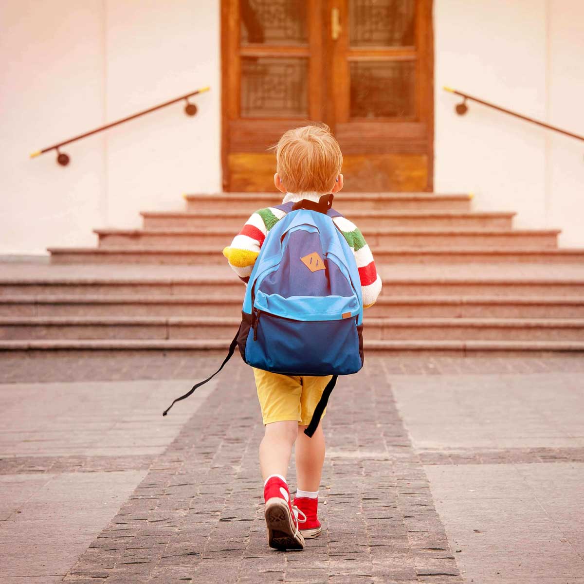 Aspects to Consider When Looking for an Ideal Multi-Curriculum Day Care for your Child